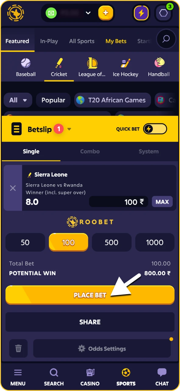 Roobet bet slip with stake amount entry field and bet placement button.