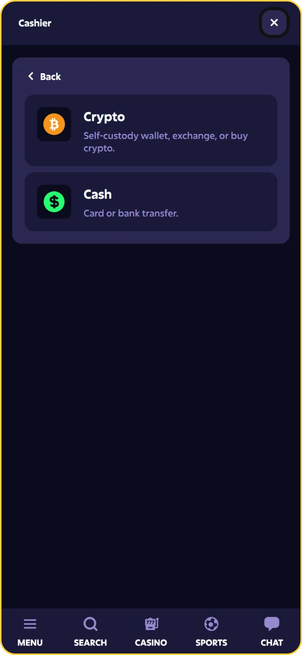 Roobet deposit menu listing supported payment methods including UPI and cryptocurrencies.