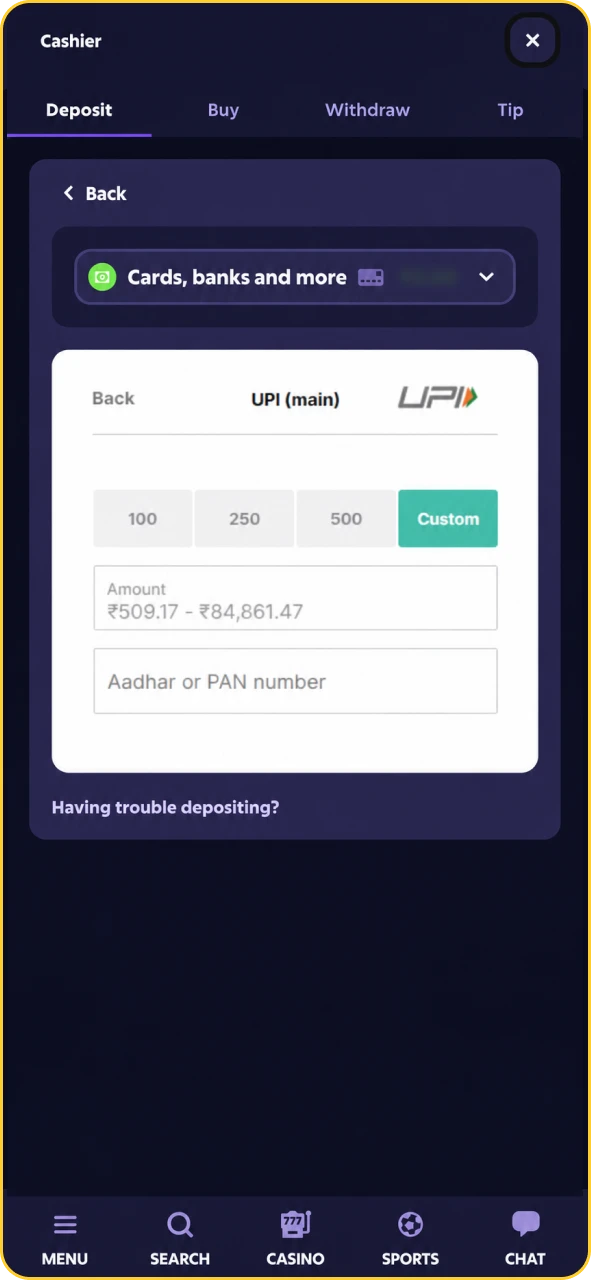 Deposit transaction screen on Roobet showing deposit amount entry and confirmation button.