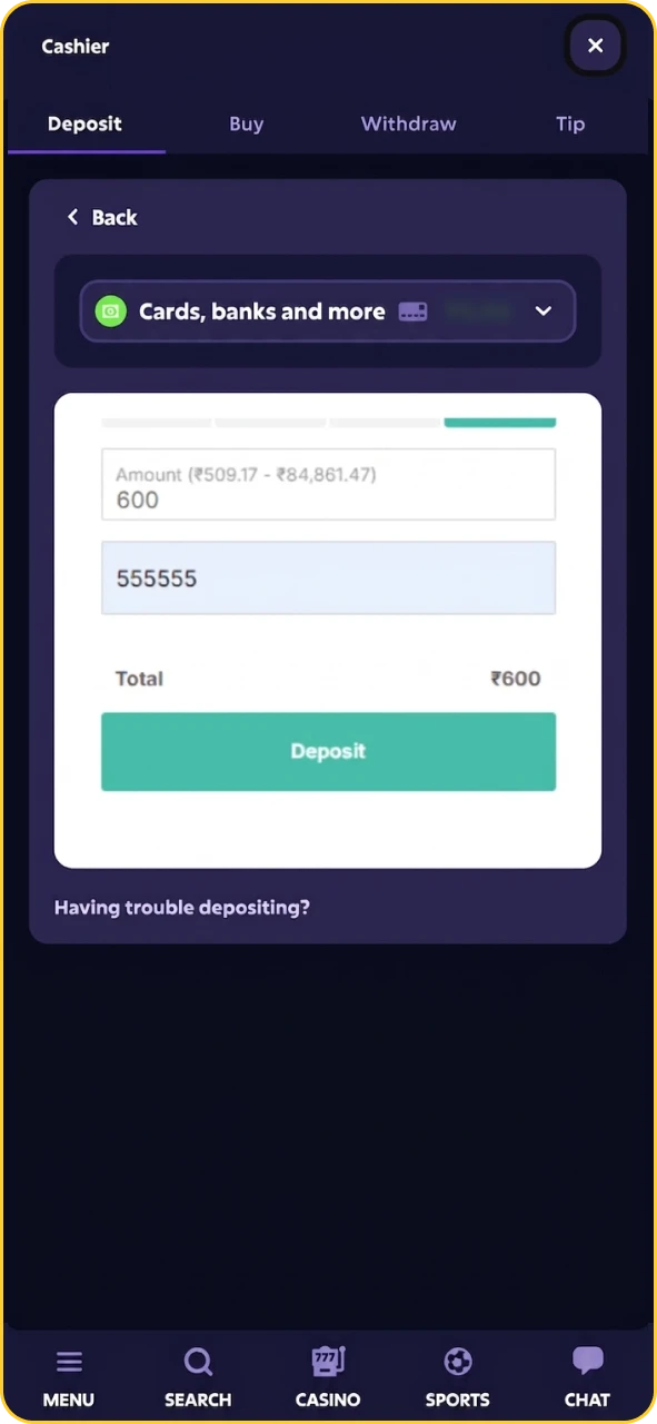 Roobet cashier screen highlighting deposit options and bonus activation.
