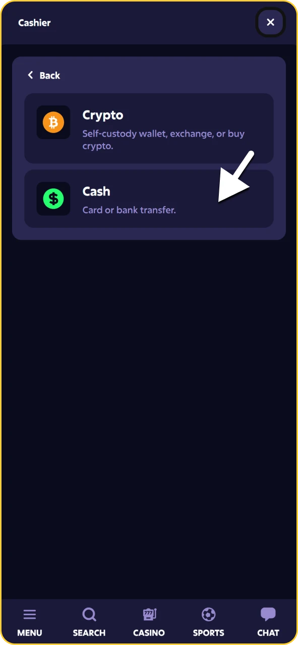 Roobet cashier page showing available deposit methods to add funds for betting.